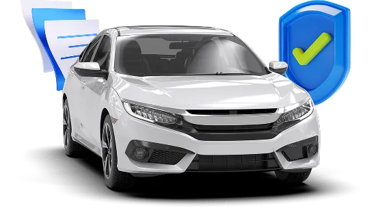 Vehicles Reports